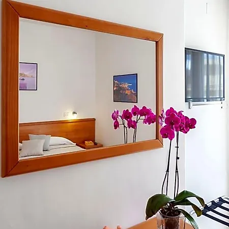 Hotel Viola 2*